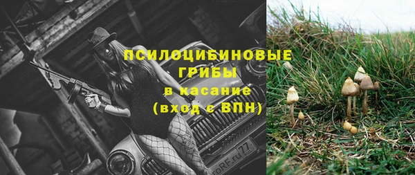 бутират Верхний Тагил