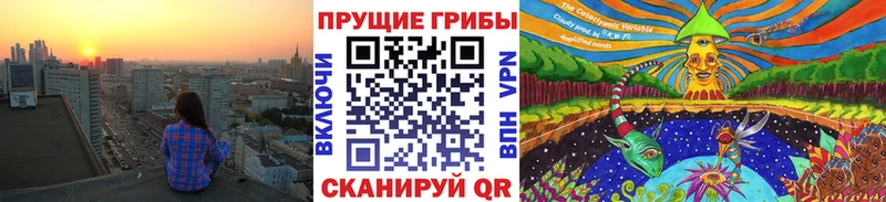 Галлюциногенные грибы Magic Shrooms  Новоржев 